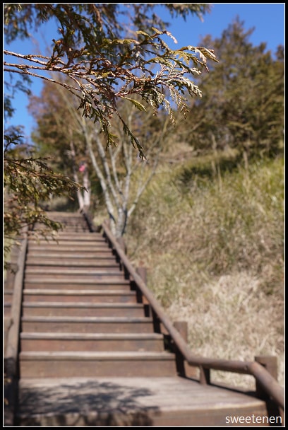 20250406-iyyc6