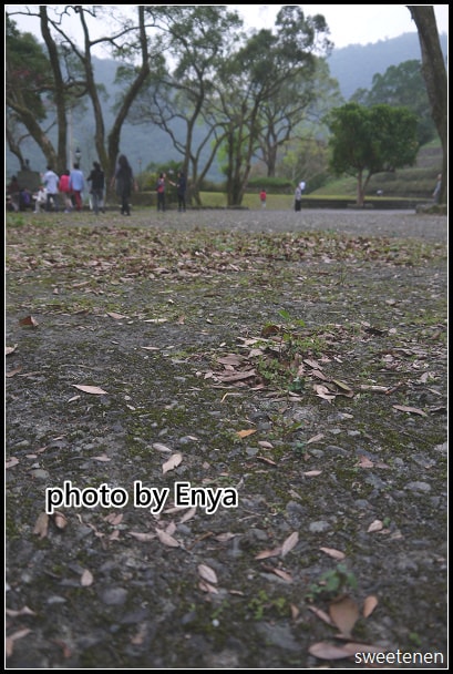 20250406-mljfo