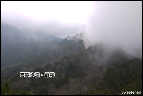 20250406-n65fk