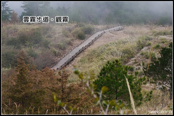 20250406-rie1j