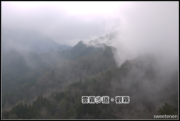 20250406-sp8f5