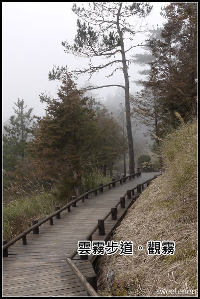20250406-twhif
