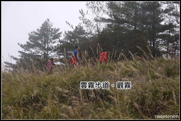 20250406-u4k9h