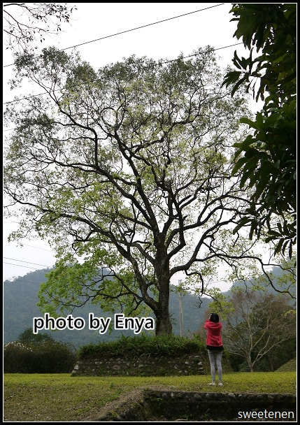 20250406-ur09p