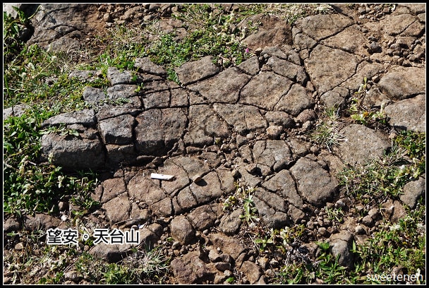 20250407-9zttx