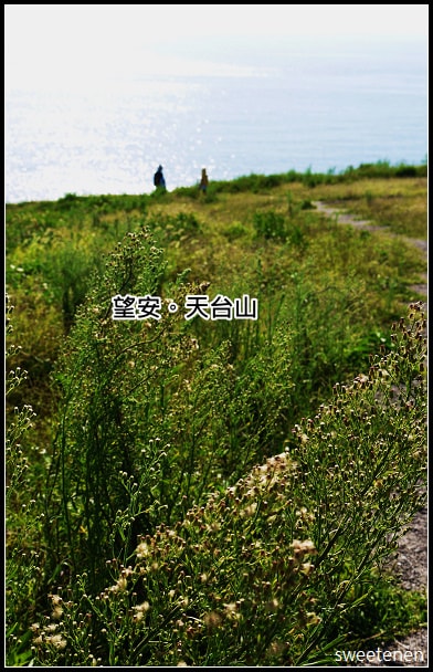 20250407-iidhe