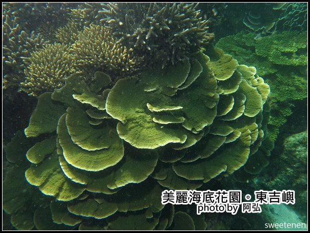 20250407-1nglm