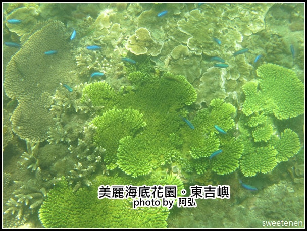 20250407-3b4b5