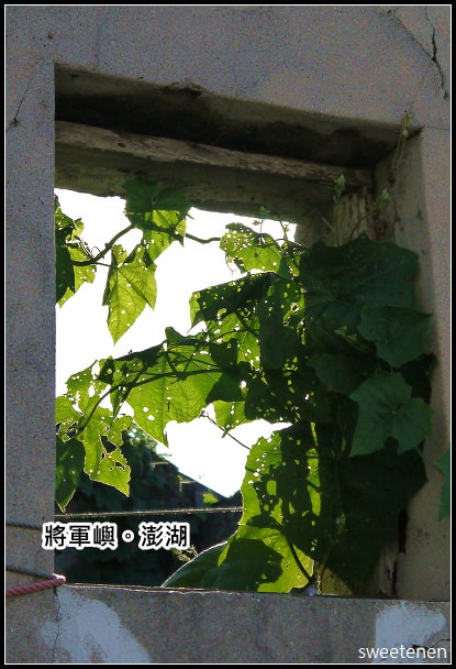 20250407-7n8ff