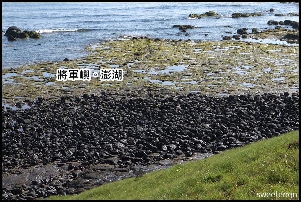 20250407-98npr
