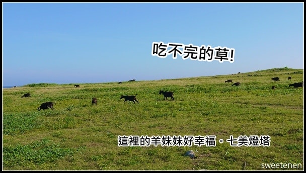 20250407-ezjru