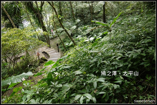 20250407-f41s2