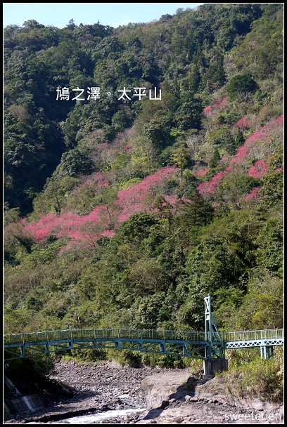 20250407-qz0uo