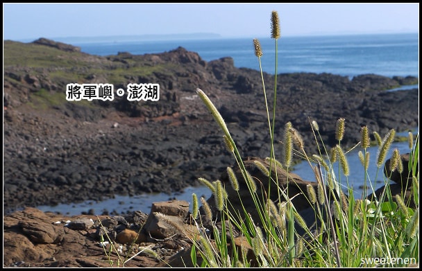 20250407-ub81m