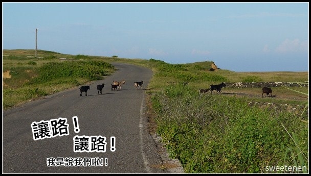 20250407-wrq3t