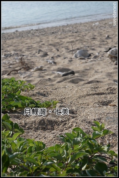 20250407-wwobp