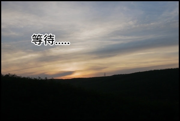 20250407-d2vkz