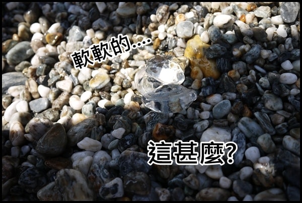 20250407-4gfsr