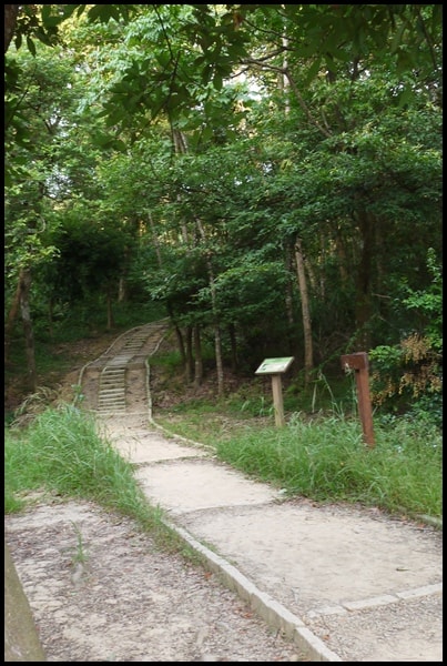 20250407-py09d