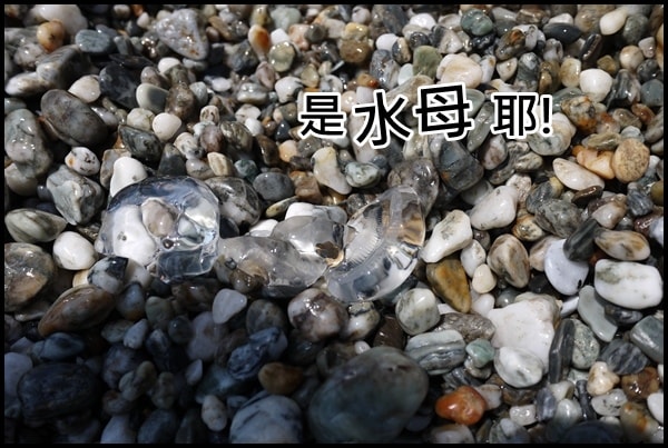 20250407-ztoex
