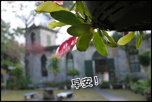 20250407-1qpxc