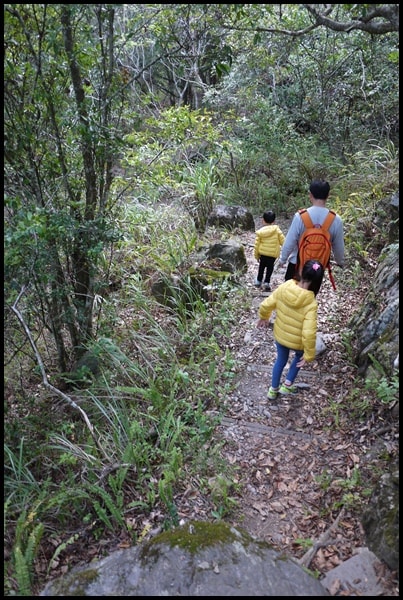 20250407-djc2t