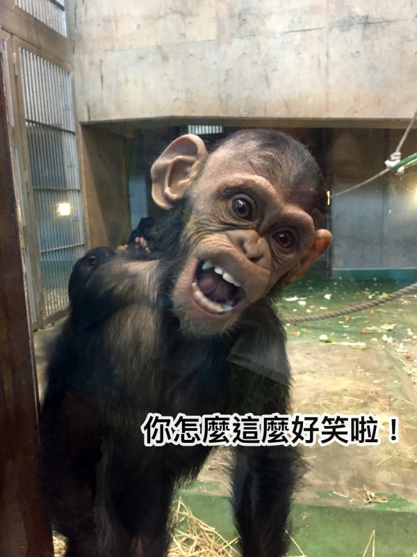20250407-1muyz