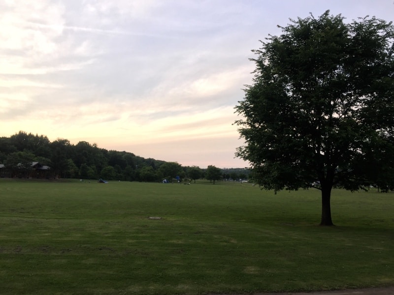 20250407-5p8rc