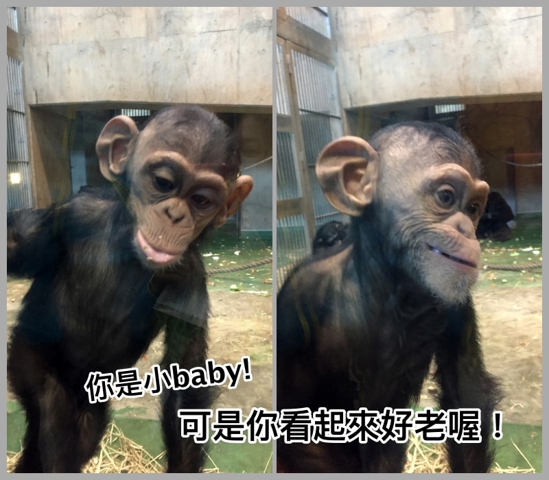 20250407-8hmma