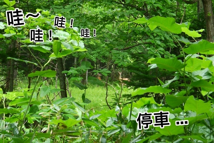 20250407-9rqbx