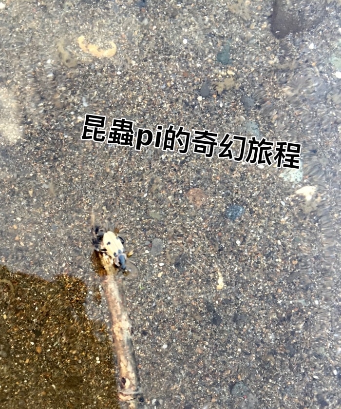 20250407-hhk09