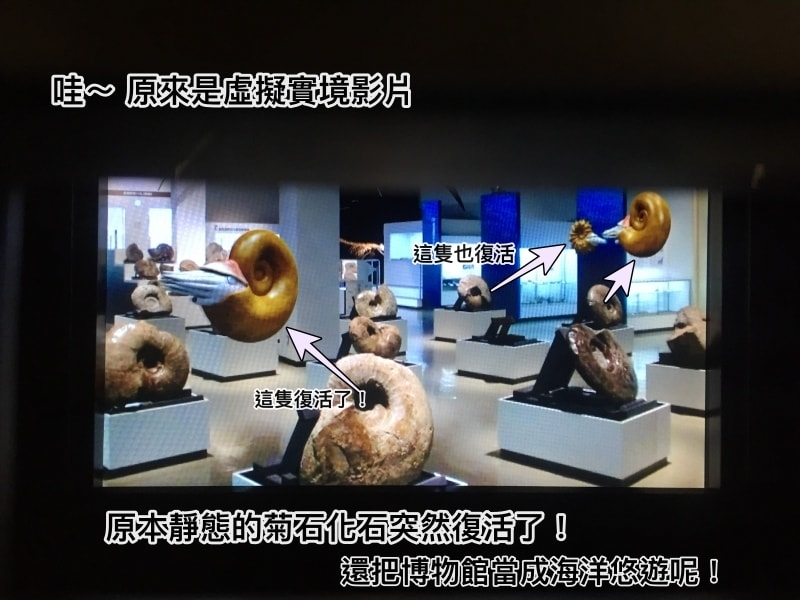 20250407-l8sts