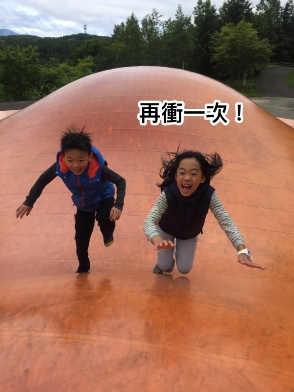 20250407-nzib2