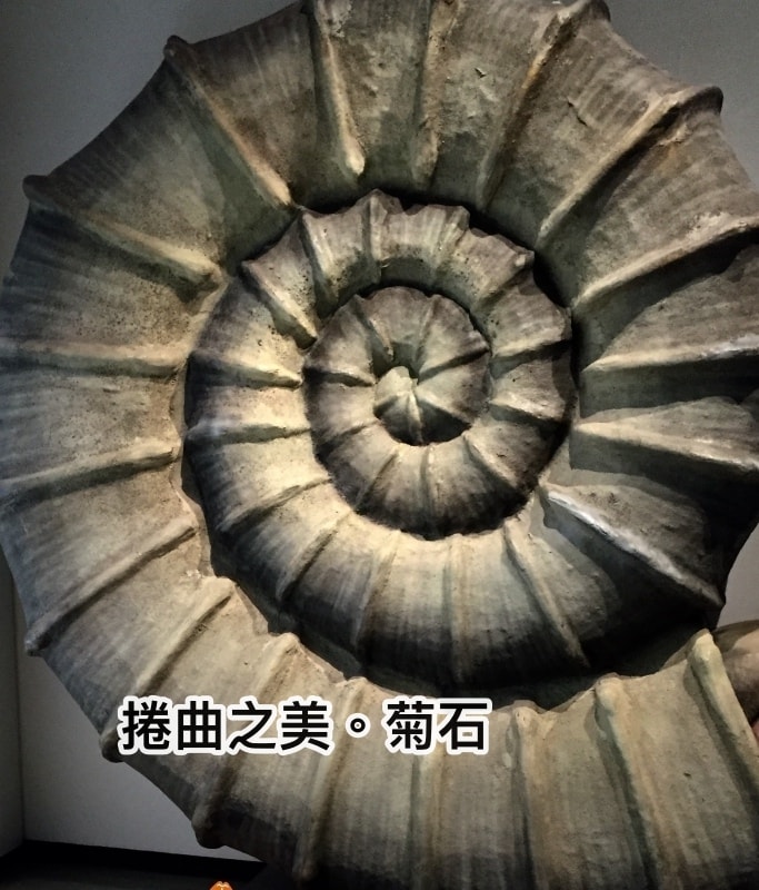 20250407-p2lkz