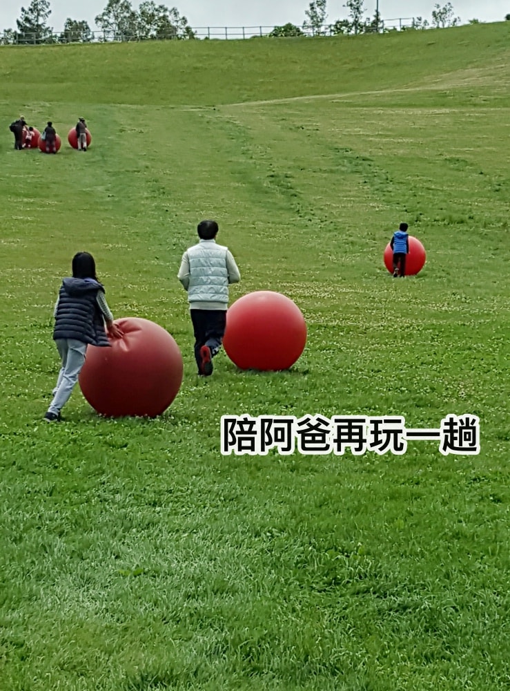 20250407-s8ii7