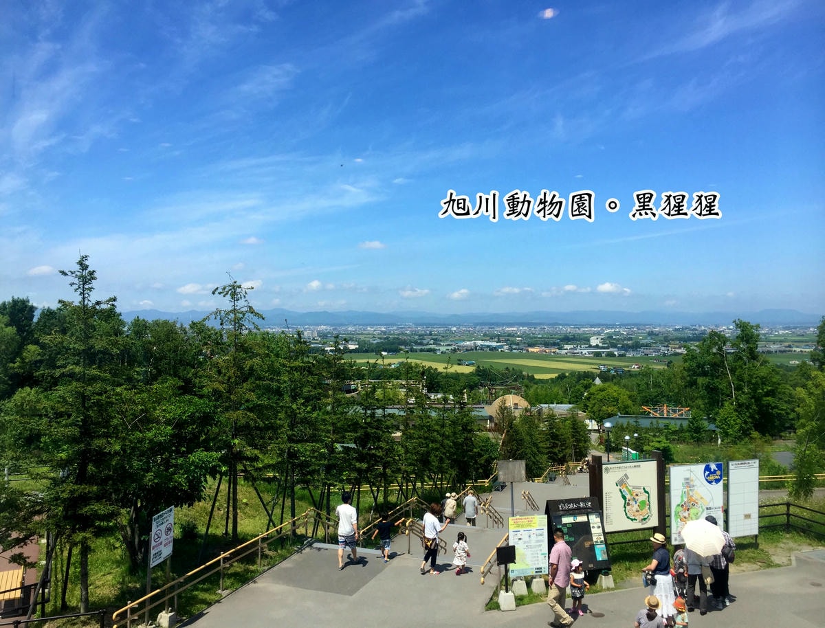 20250407 wlpo8