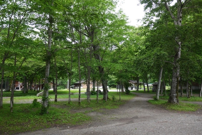 20250407-xhv71