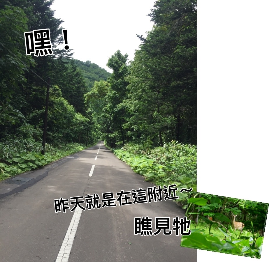 20250407-yi7lp