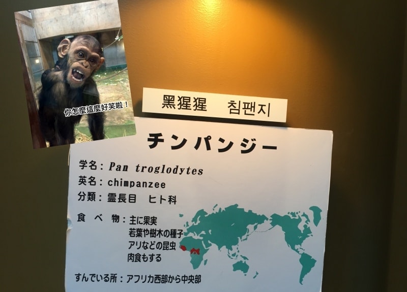 20250407-zb2tw