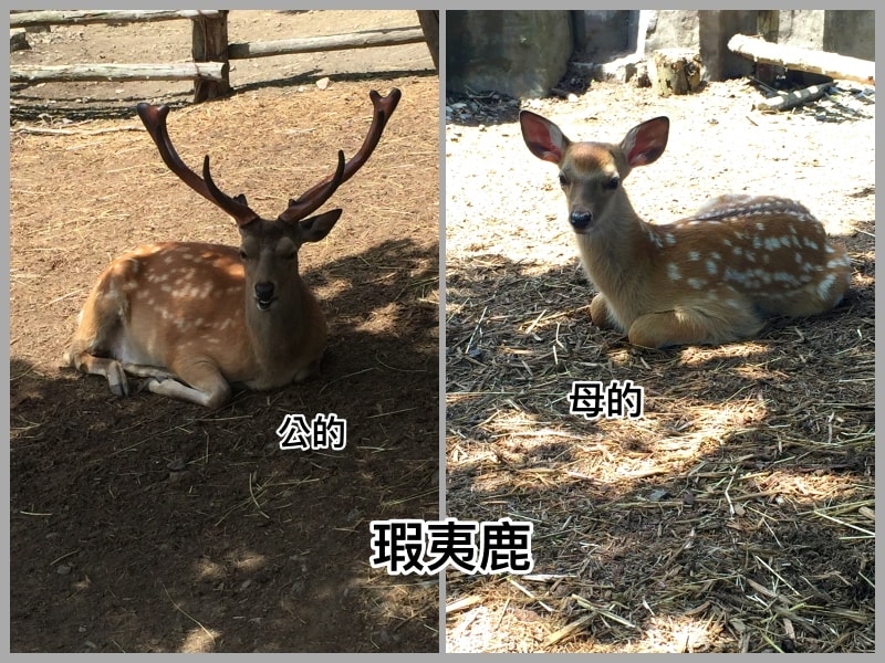 20250407-zp6eq