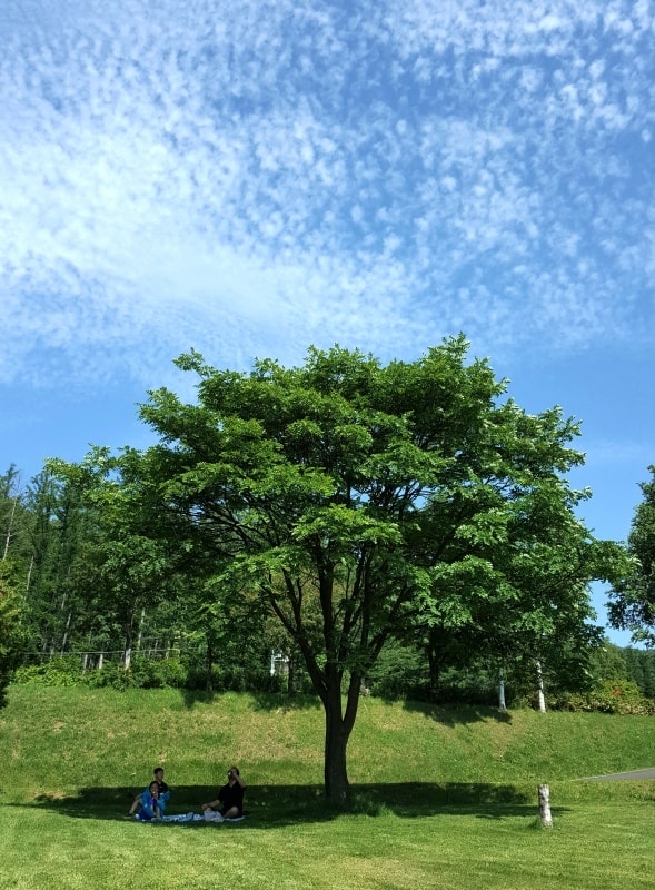 20250407-s66nr