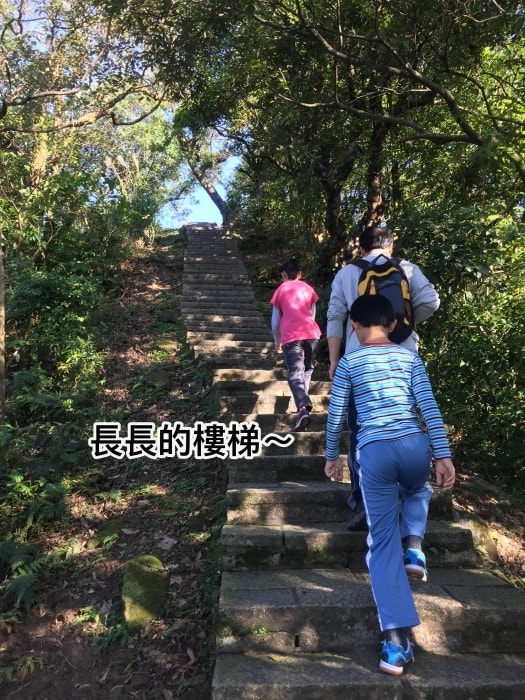 20250407-y5drv