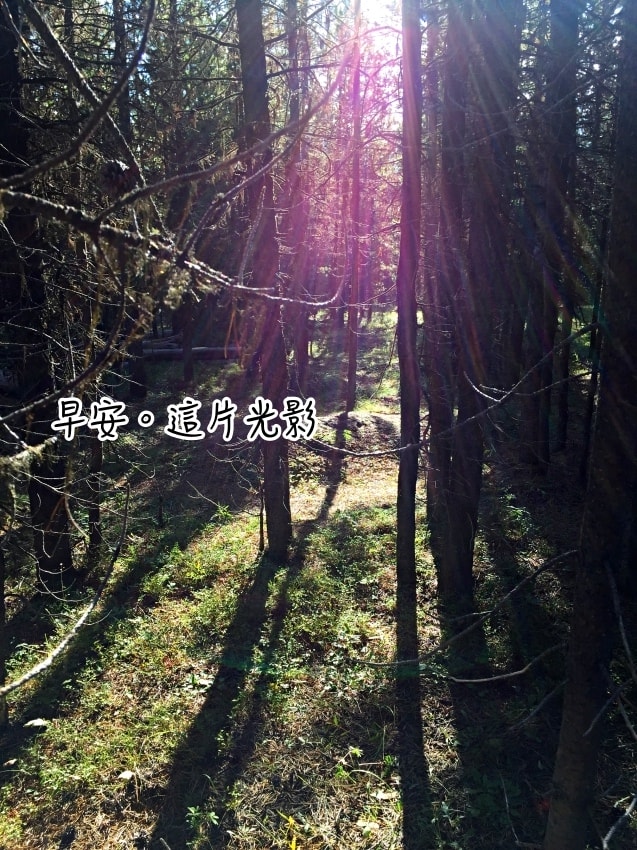 20250407-8cpqz