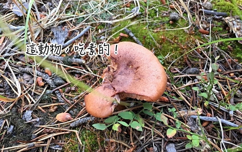 20250407-bkldt