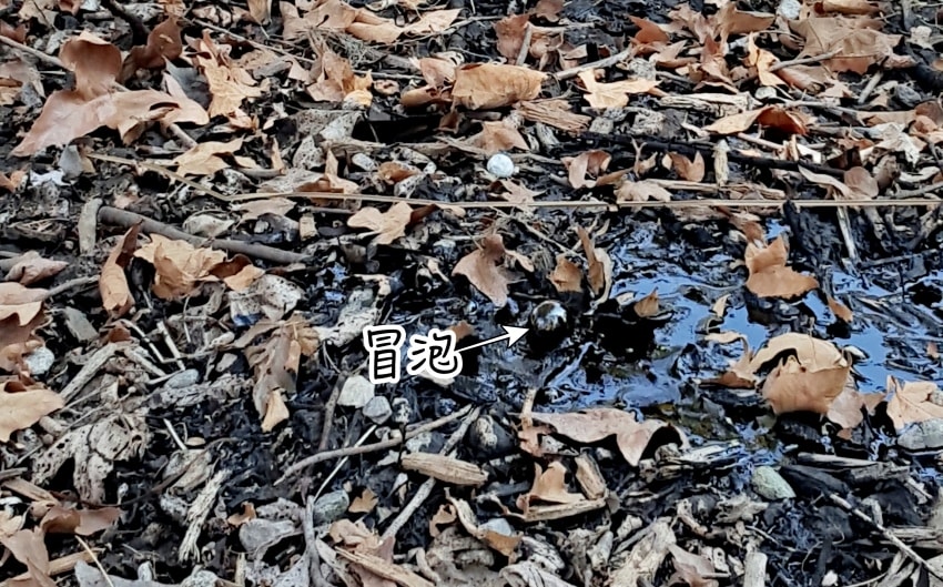 20250407-fz03q