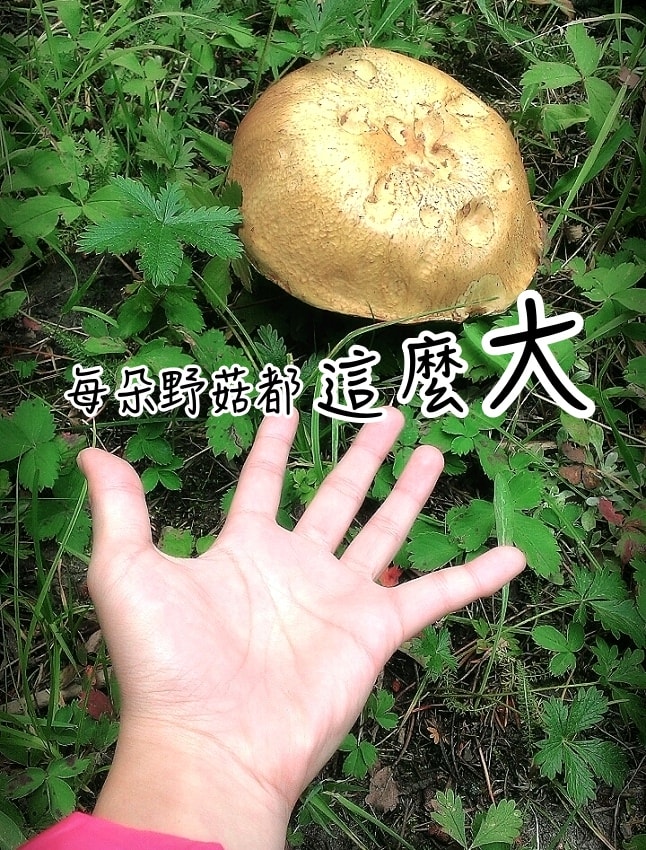 20250407-gg8gg