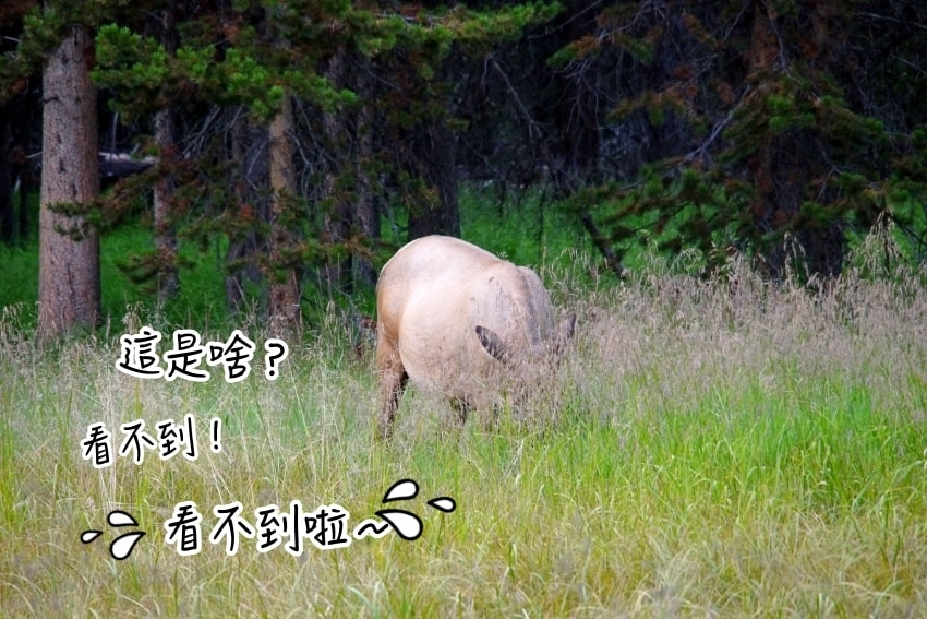 20250407-je9i5