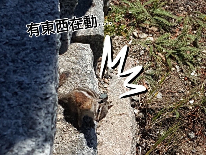 20250407-jk6gv