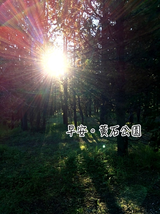20250407-l33ra