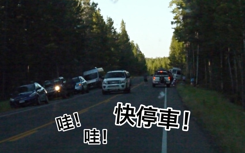 20250407-m6t5c